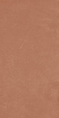 Керамогранит Argillae Coral Rect 120 60x120 от APE Ceramica (Испания)