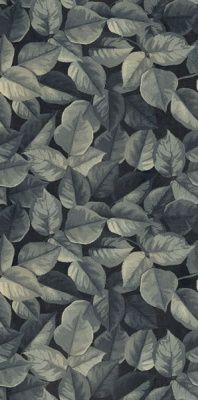 Декор WIDE&STYLE MINI FOLIAGE R (PF60008438) 60x120 от ABK Ceramiche (Италия)