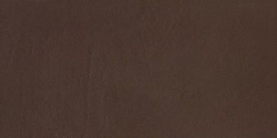 Керамогранит CS_Brown 30x60 от Porcelaingres (Германия)