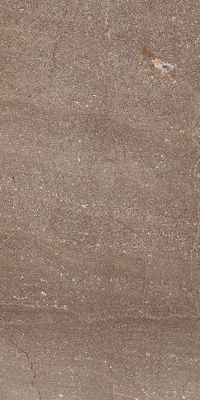 Контемпора Бёрн 30Х60 Пат