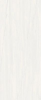 Настенная плитка Marvel Bianco Dolomite (A4S4) 50x120 от Atlas Concorde (Италия)