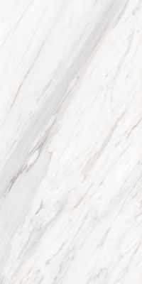 Керамогранит 1123 glossy 60x120 от Simpolo (Индия)