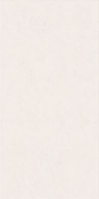 Настенная плитка WIDE&STYLE MINI SNOW RET (PF60008228) 60x120 от ABK Ceramiche (Италия)