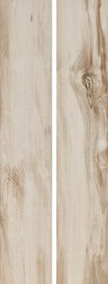 Керамогранит GOA NATURAL MATE Ret. 23x120 от Alaplana (Испания)