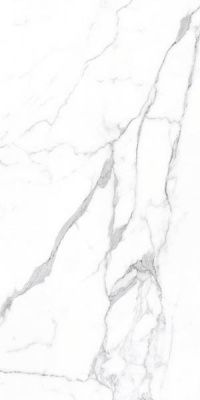 Керамогранит CRV-3143 carving 60x120 от Simpolo (Индия)