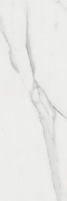 Настенная плитка STATUARY MATT 25x75 от APE Ceramica (Испания)