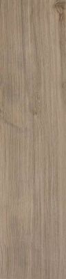 Керамогранит Etic Rovere Grigio (AJ8H) 22.5x90 от Atlas Concorde (Италия)
