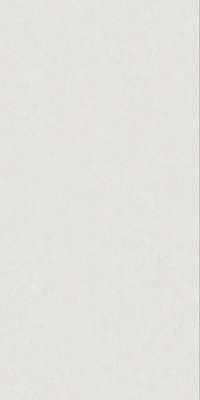 Керамогранит Spazio N Bianco-M (Art##0007282) 90x180 от Nanogress (Китай)