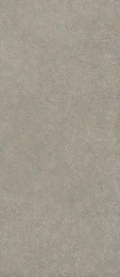 Керамогранит Boost Mineral Grey Elegant (AHWY) 120x278 от Atlas Concorde (Италия)