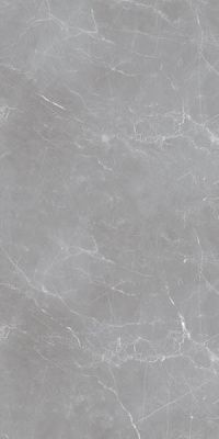 Керамогранит Arion Gray Dark 20мм 59.7x119.7 от Ocean Ceramic (Иран)