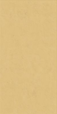 Настенная плитка WIDE&STYLE MINI GINGER RET  (PF60008231) 60x120 от ABK Ceramiche (Италия)