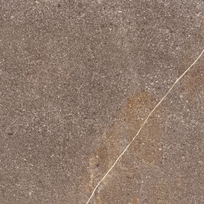 Контемпора Бёрн