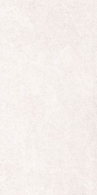 Керамогранит AODN NA2A Helena Light Gray Rectified 59.7x119.8 от Goldis Tile (Иран)