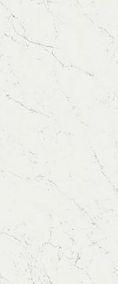Настенная плитка Marvel Carrara Pure (A4S3) 50x120 от Atlas Concorde (Италия)
