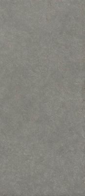 Керамогранит Boost Mineral Smoke Elegant (AHWZ) 120x278 от Atlas Concorde (Италия)