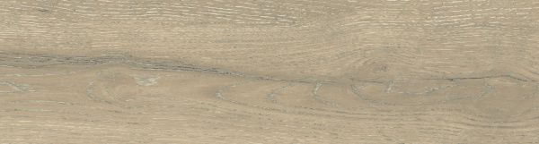 На изображениях DW02 14,6x60x8 Непол.Рект. (Керамический гранит)