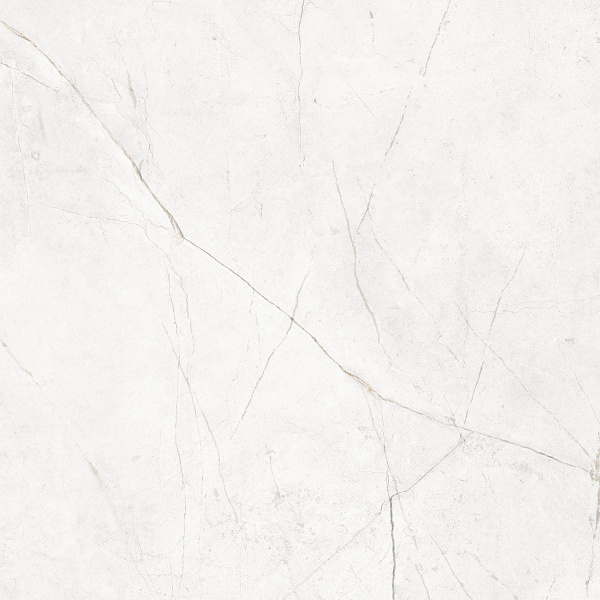 На изображениях NL00 60x60x10 Непол.Рект. (Керамический гранит)