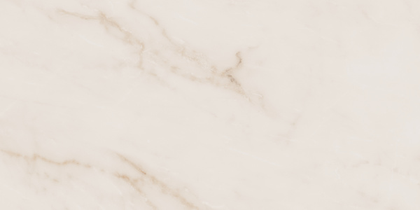 На изображениях MO02 30,6x60,9x8 Непол. (Керамический гранит)