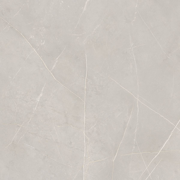 На изображениях NL02 80x80x11 Непол.Рект. (Керамический гранит)