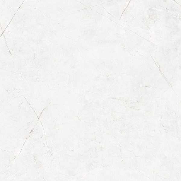 На изображениях NL00 60x60x10 Непол.Рект. (Керамический гранит)