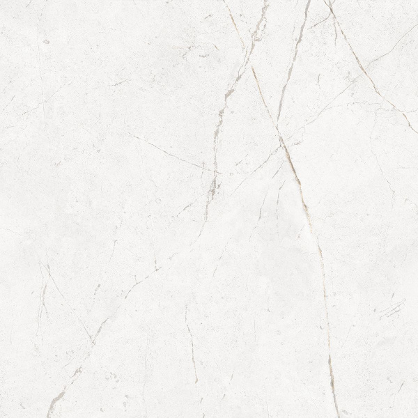 На изображениях NL00 60x60x10 Непол.Рект. (Керамический гранит)