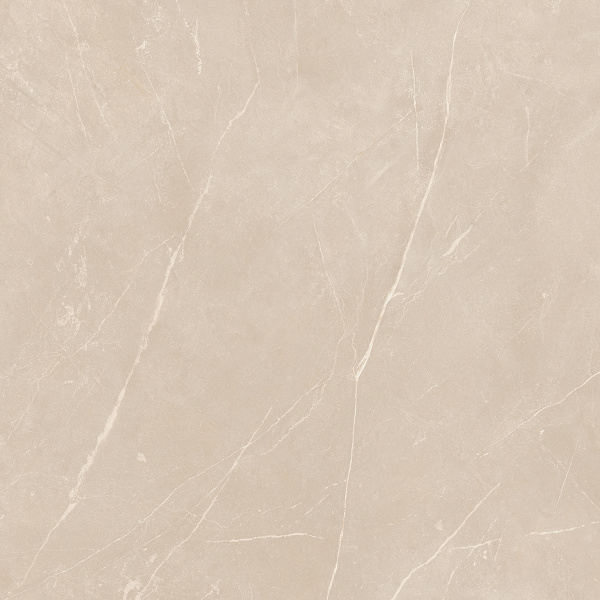 На изображениях NL01 60x60x10 Полир. (Керамический гранит)