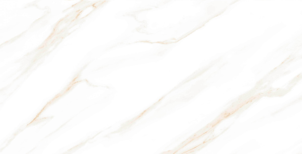 На изображениях MOG102 60x120x9 Полир. (Керамический гранит) 46,08 м2