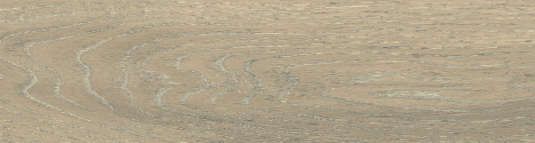 На изображениях DW02 14,6x60x8 Непол.Рект. (Керамический гранит)