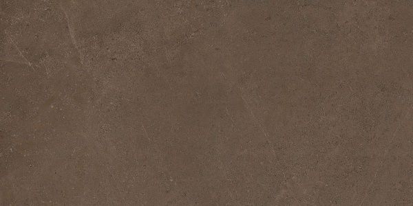 На изображениях GO03 60x120x10 Непол.Рект. (Керамический гранит)