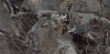 MOG502 60x120x9 Полир. (Керамический гранит) На изображениях MOG502 60x120x9 Полир. (Керамический гранит)