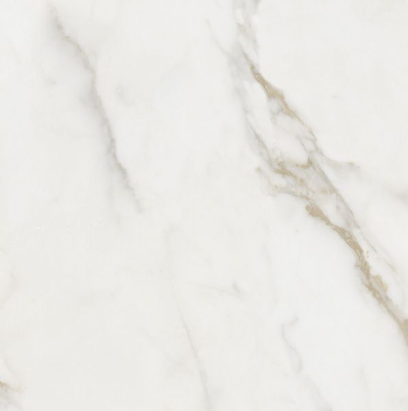 На изображениях Ideal