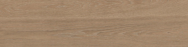 На изображениях RF02 14,6x60x8 Структур.Рект. (Керамический гранит)