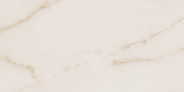 На изображениях MO02 30,6x60,9x8 Непол. (Керамический гранит)