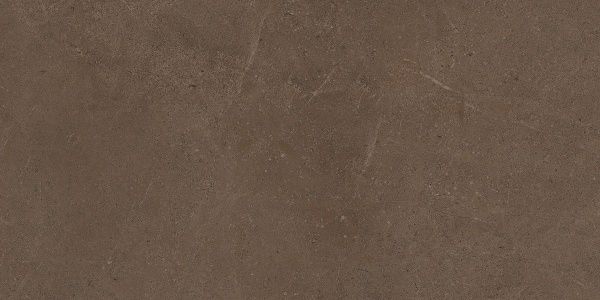 На изображениях GO03 60x120x10 Непол.Рект. (Керамический гранит)