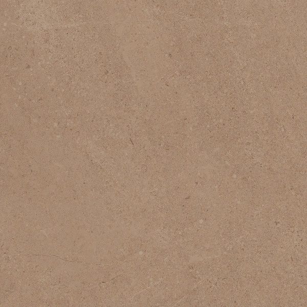 На изображениях GO01 60x60 Непол.Рект. (Керамический гранит)