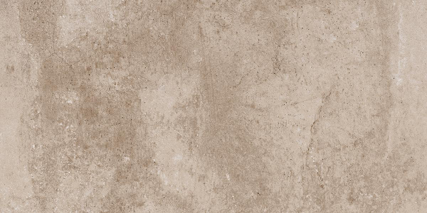 На изображениях EE02 30,6x60,9x8 Непол. (Керамический гранит)