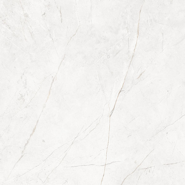 На изображениях NL00 60x60x10 Непол.Рект. (Керамический гранит)