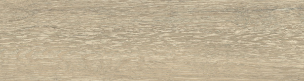 На изображениях DW02 14,6x60x8 Непол.Рект. (Керамический гранит)