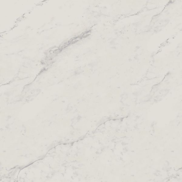 На изображениях Melody