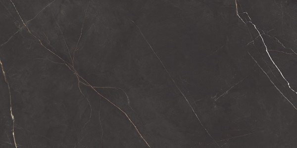 На изображениях NL04 60x120x10 Непол.Рект. (Керамический гранит)