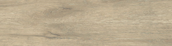 На изображениях DW02 14,6x60x8 Непол.Рект. (Керамический гранит)