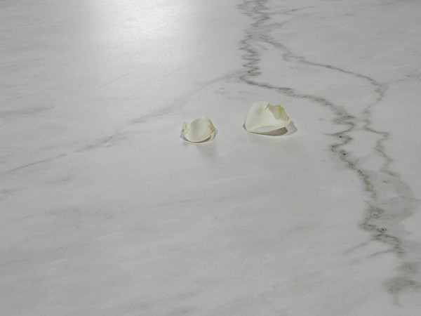 На фото Плитка TORANO STATUARIO (Ascale)