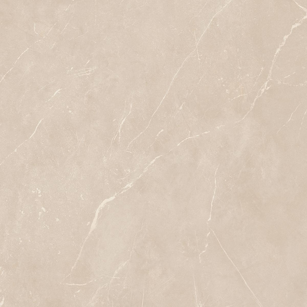 На изображениях NL01 60x60x10 Непол.Рект. (Керамический гранит)