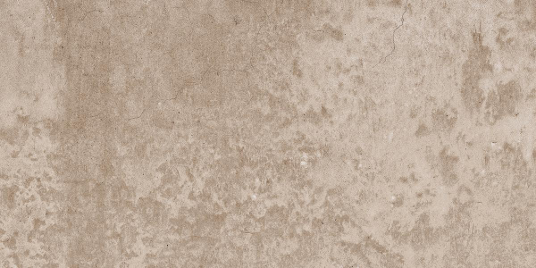 На изображениях EE02 30,6x60,9x8 Непол. (Керамический гранит)