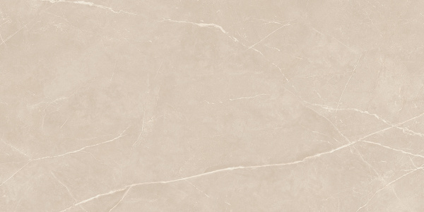 На изображениях NL01 60x120x10 Полир. (Керамический гранит)