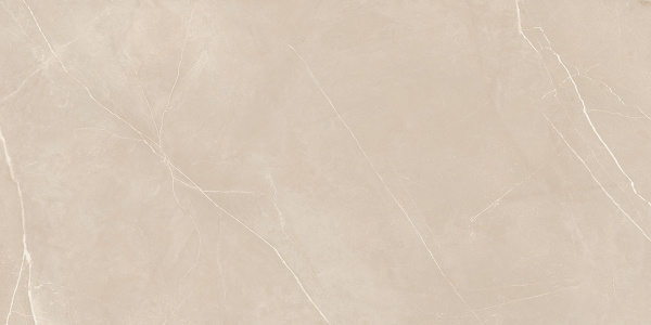 На изображениях NL01 60x120x10 Полир. (Керамический гранит)