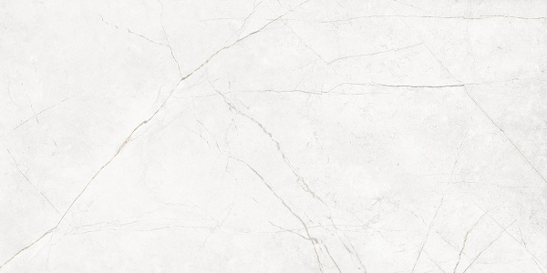 На изображениях NL00 60x120x10 Непол.Рект. (Керамический гранит)