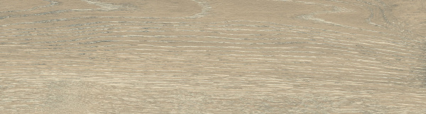 На изображениях DW02 14,6x60x8 Непол.Рект. (Керамический гранит)