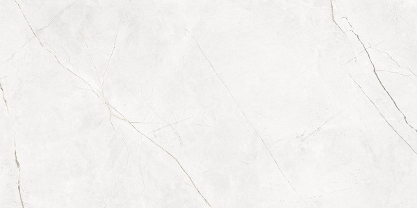 На изображениях NL00 60x120x10 Непол.Рект. (Керамический гранит)