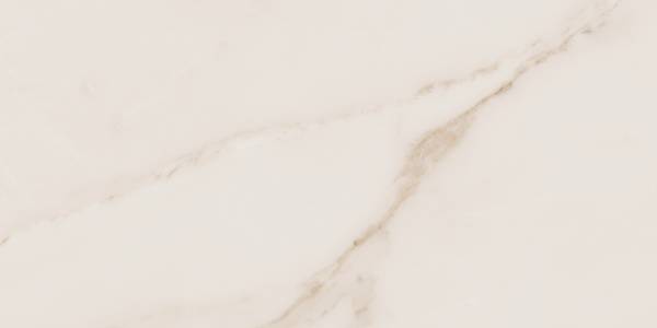 На изображениях MO02 30,6x60,9x8 Непол. (Керамический гранит)